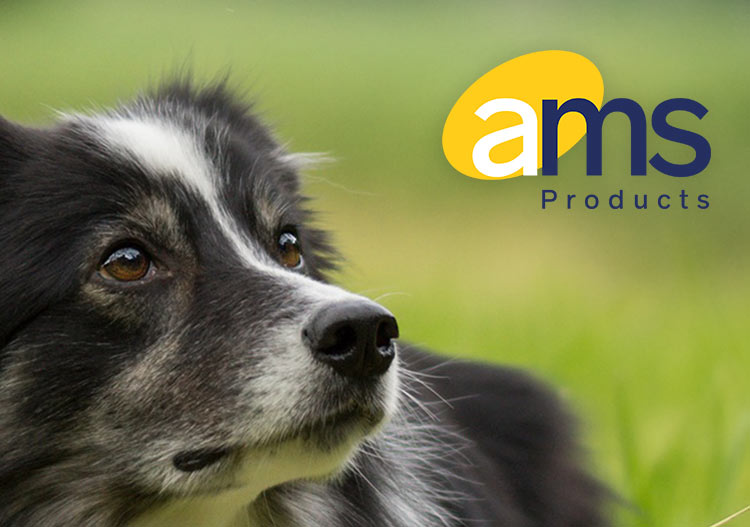 AMS